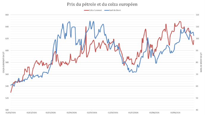 Le pétrole plombe de nouveau les prix du colza