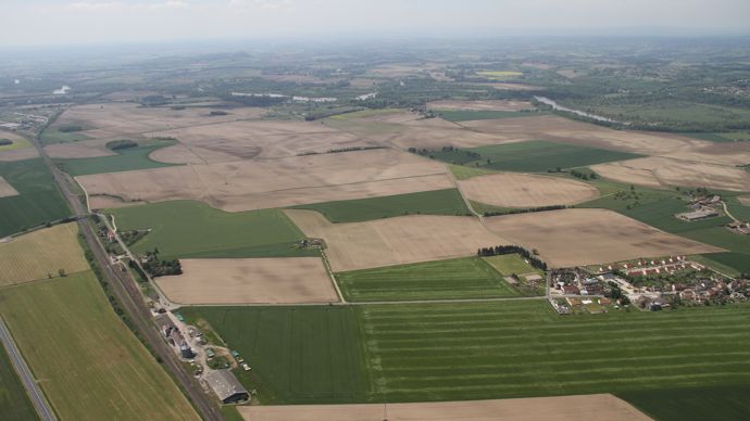 « Le plan de relance agricole doit être l’occasion de reconfigurer les filières »