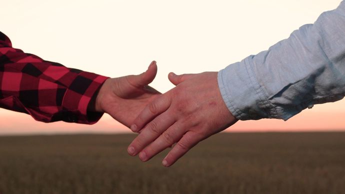 La fusion des coopératives, entre vision stratégique et adaptation nécessaire