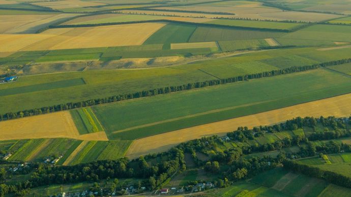 Bail rural, cession : qu’implique la gestion de terres agricoles en indivision ?