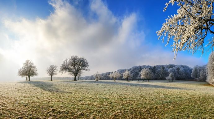 Les tendances météo pour l’hiver 2026-2027