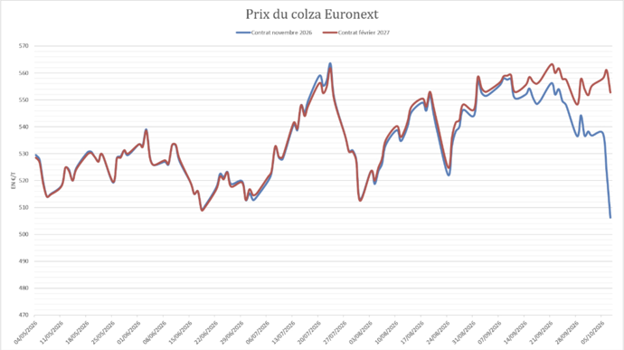 La prime de stockage sur le colza atteint un niveau extrême