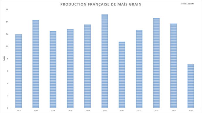 La récolte française de maïs chute de moitié