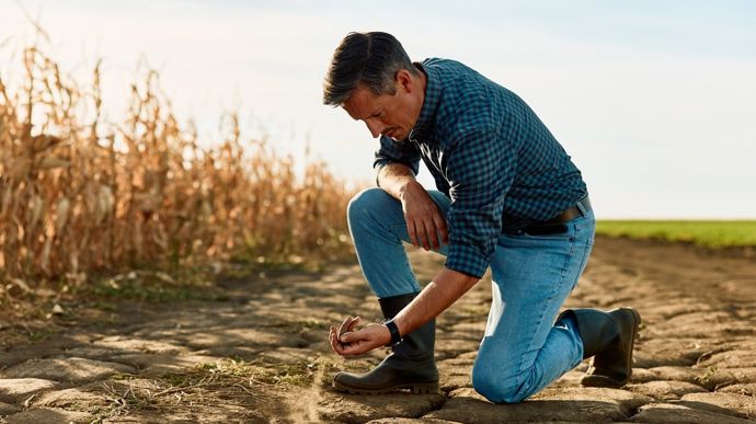 Sécheresse et canicules de 2026 bousculent les projets d&rsquo;installation agricole